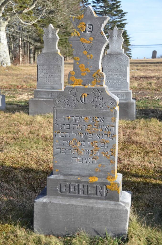 Cohen, Batya