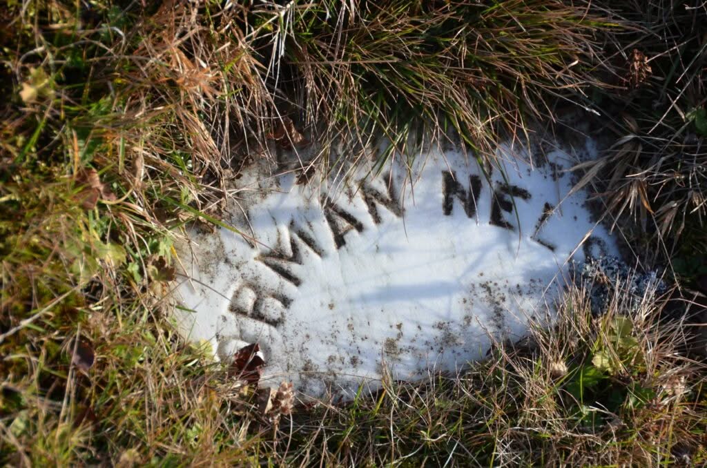 Nelson, Norman