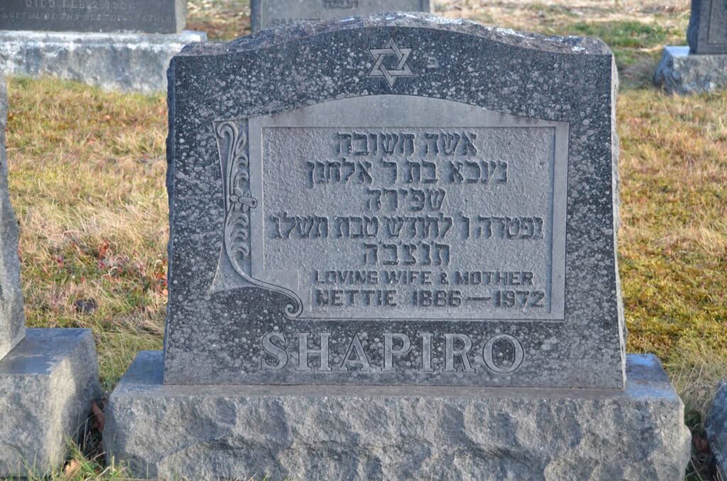 Shapiro, Nettie